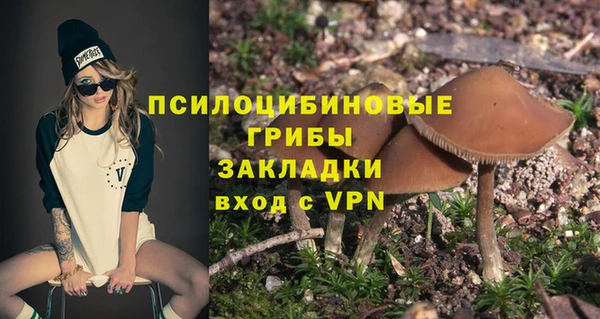 МДПВ Каменск-Шахтинский