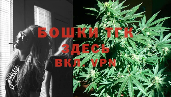 бошки Каменка