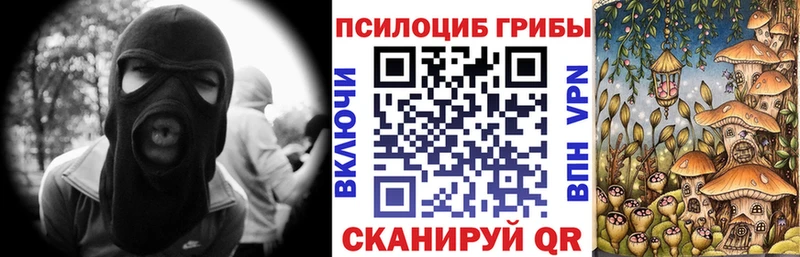 Купить  Обоянь  Псилоцибиновые грибы мицелий 